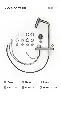 (14).webp