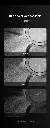 (17).webp