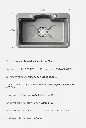 (20).webp